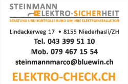 Steinmann Elektrosicherheit